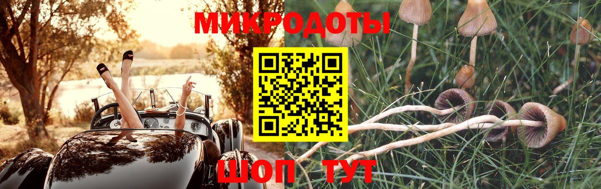 Галлюциногенные грибы ЛСД  как найти закладки  Нерюнгри  Вход с VPN 